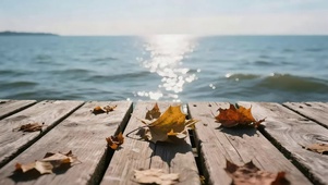 阳光海边码头栈道