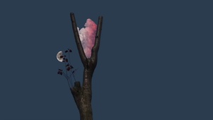 夜空