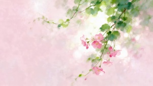 治愈小清新鲜花