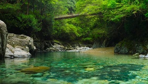 山涧溪流