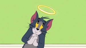 汤姆猫