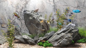 放松水族馆