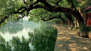 阳光古建园林湖畔