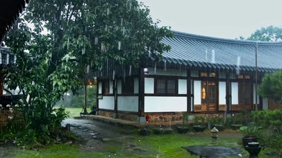 雨中庭院