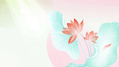 治愈护眼荷塘莲花