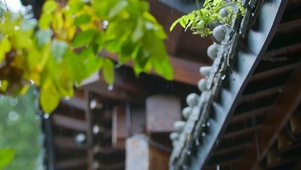 4K房檐落雨