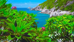 护眼绿叶海岸