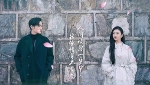 司藤