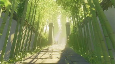 绿色夏日幽静竹林小道