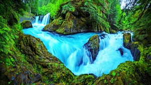 护眼治愈绿林流水 4K