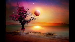 梦幻星空