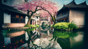 樱花河畔