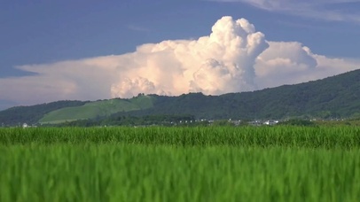 4K唯美护眼乡村天空绿草