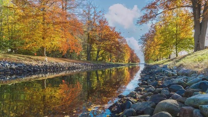 怀念秋天的颜色