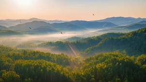 日出山林