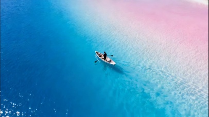 超治愈蓝粉相接浅海