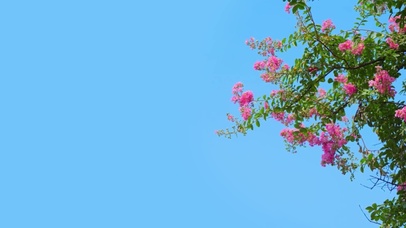 好时光