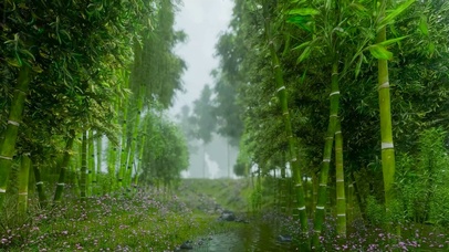 竹林雨