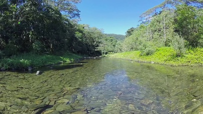 清凉溪流超宽屏带鱼屛