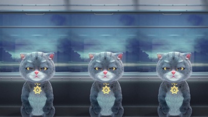 班布猫-遇见日出