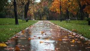 雨中小路