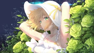 茉莉茶花