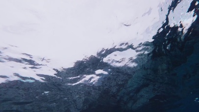 海