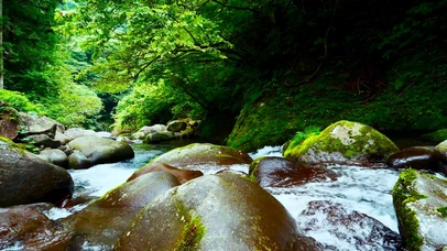 护眼山涧绿林流水