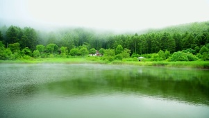 4k朝霧中牧湖