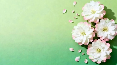 护眼花草