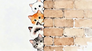墙边几只可爱猫咪