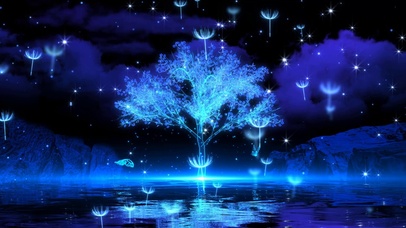 4K唯美超清 【光树】