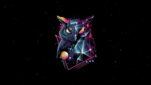 孤独猫头鹰