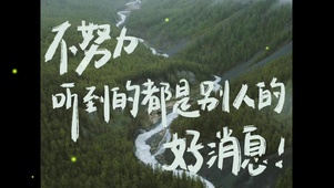 清新绿色森林励志文字控桌面主题