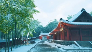 冬季竹林小院