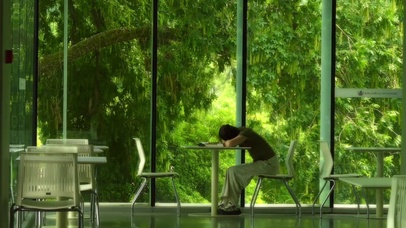 绿意盎然的夏天