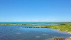 海岸线
