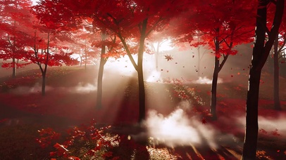 抖音作者----行至云暮间.