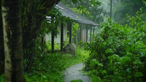 雨天乡间小路
