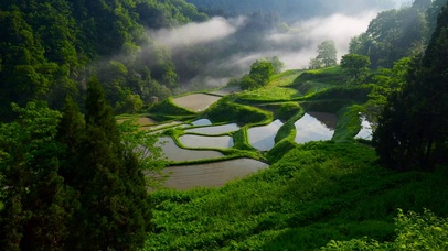 4K乡村田园晨雾