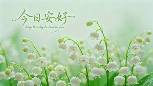 铃兰的祝福