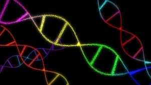 彩色DNA