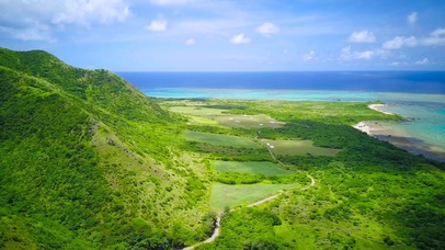 4K航拍海岸绿地