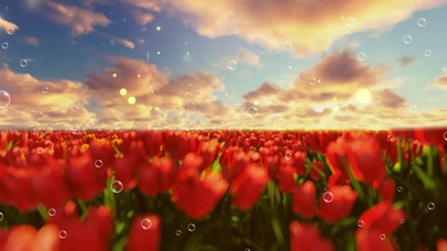 春天花海夕阳治愈浪漫背景