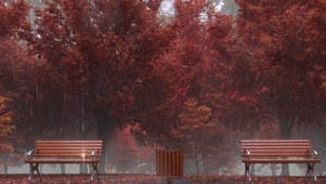 秋雨落在公园长椅上