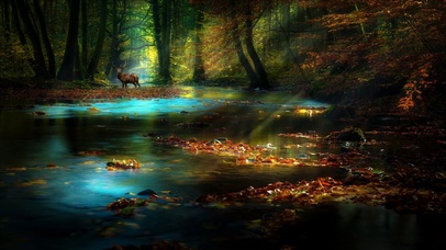 【4K】童话森林