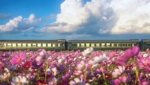 祝你有数不尽的鲜花和浪漫