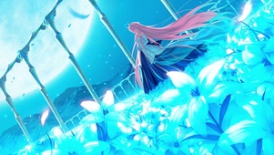 月姬 爱尔奎特月夜花海