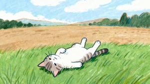 可爱猫咪躺着草地