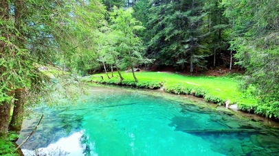 见鱼者 鱼跃龙门 4K